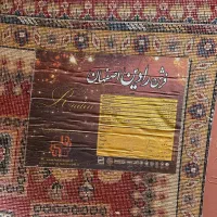 فرش رادین اصفهان|فرش|بابل, |دیوار