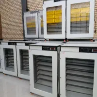 دستگاه جوجه کشی/انتی بـاکتری با درب شیــشه نشــکن+
