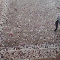 فرش 12متری|فرش|بندرعباس, |دیوار