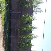 فروش خانه ویلایی ۱۱۰۰متر زیربنا۱۲۰متر|فروش خانه و ویلا|نیر (اردبیل), |دیوار
