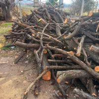 خریدار چوب تر و خشک