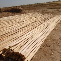 چوب|عمده‌فروشی|میاندوآب, |دیوار