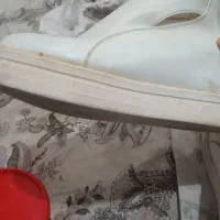 کفش سفید زیبا|کیف، کفش، کمربند|سقز, |دیوار