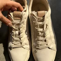 کفش برند از کوچ معروف