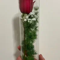 گل رز شیشه ۳۰سانتی