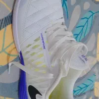 کفش سالنی لونارگتو