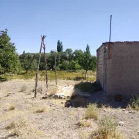 فروش ومعاوضه زمین وباغ درروستای قلعه عسکر|فروش زمین و ملک کلنگی|بافت, |دیوار