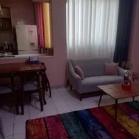 همخانه خانم می خواهم