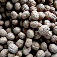 خشکبار گردو.بادام|خوردنی و آشامیدنی|شیراز, آزادی|دیوار