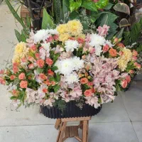 باکس مشکی|گل و گیاه طبیعی|شیراز, خلدبرین|دیوار