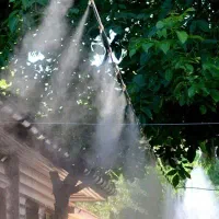 نازل مه پاش|ابزارآلات|شوش, |دیوار