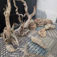 اکواریوم شرکتی دلسا همراه با میز|ماهی|مشهد, انقلاب|دیوار