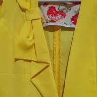 کت مجلسی|لباس|لاهیجان, امیرشهید|دیوار