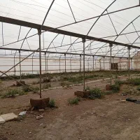 اجاره-گلخانه-هشت-هزارمترکاکی-باآب-شیرین