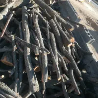 چوب سیب|خدمات باغبانی و درختکاری|اصفهان, باغ زرشک|دیوار