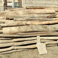 خریدارچوب خشک بامناسبترین قیمت|خدمات باغبانی و درختکاری|پارسآباد, |دیوار