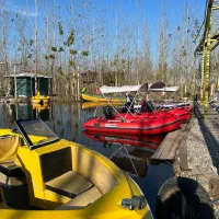 ویلایی که آرامشش ابدیه|فروش خانه و ویلا|نظرآباد, رسالت|دیوار
