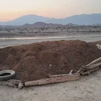 کود گوسفند روستایی دهماتون