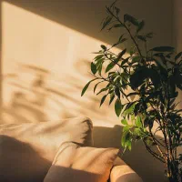 راهنمایی در رابطه با کار