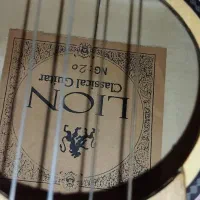 گیتار کلاسیکLion  فقط تا آخر امشب ۲۷۰۰|گیتار، بیس، امپلیفایر|پرند, فاز ۵|دیوار