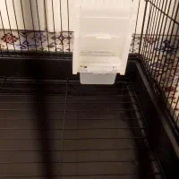 قفس بزرگ پرندگان عروس هلندی کاسکو ۱۰۳۴|لوازم جانبی حیوانات|تهران, هفده شهریور|دیوار