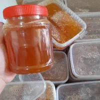 عسل درجه ۱ خوش طعم|خوردنی و آشامیدنی|تهران, جمهوری|دیوار