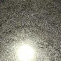 فروش کاه
