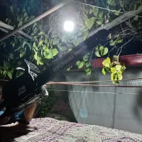 خرید چوب و برش چوب و درخت|خدمات باغبانی و درختکاری|تبریز, |دیوار