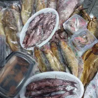 ماهی|ماهی|رشت, حومه رشت|دیوار