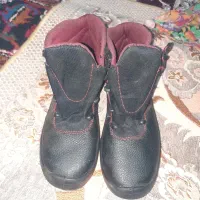 پوتین ایمنی