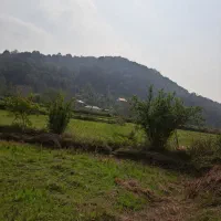 ۲۵۰مترزمبن برجاده ۲۰متری