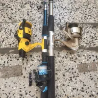 لنسر ماهیگیری