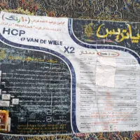 فرش قالی|فرش|شوشتر, |دیوار