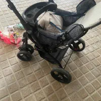 کالسکه|کالسکه و لوازم جانبی|شاهین دژ, |دیوار