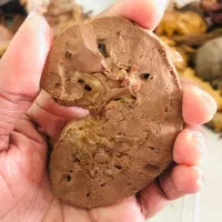 دیگه کلیه هات سنگ نمیسازه|خدمات آرایشگری و زیبایی|همدان, |دیوار