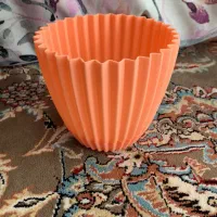 ۴ عدد گلدون نو|گل و گیاه طبیعی|تربت‌حیدریه, حسنی بالا|دیوار