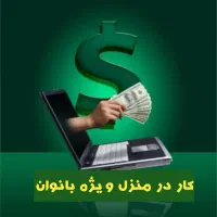فعالیت در خانه بصورت آنلاین