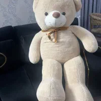 خرس بزرگ خارجی