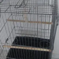 قفس|لوازم جانبی حیوانات|تهران, شهرک صدرا|دیوار