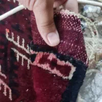 همه اجناس|سایر لوازم برقی|دلند, |دیوار