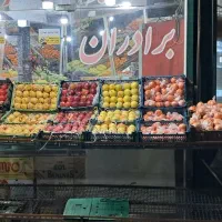 نیروی کار در میوه سرا