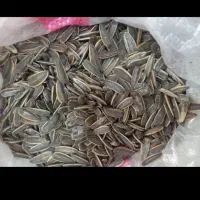 تخمه درجه یک وارداتی از عراق