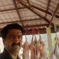 قصاب احرازشده برای ذبح گوسفند شما برای مجالس