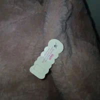 خرس سه متری|کلکسیون و سرگرمی|سبزوار, پاسداران|دیوار