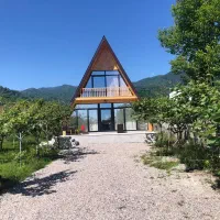 کلبه سوئیسی/کلبه چوبی /فضای کوهستانی و جنگلی
