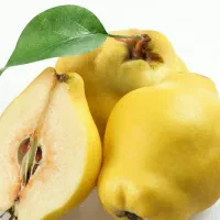 به مراغه