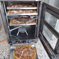 تنور مرغ و ماهی