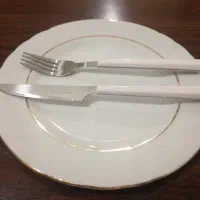 کارد و چنگال دسته پلاستیکی نشکن|حراج|سنندج, |دیوار