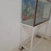 اکواریوم|ماهی|قم, دروازه ری|دیوار