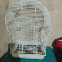 قفس بزرگ برایه عروس و